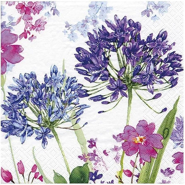 Ti Flair - Agepanthe Blue