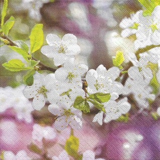 Ti Flair - Blossoming Cherry Branch