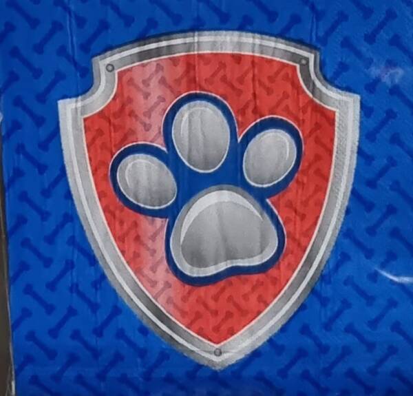 Paw Patrol Blue Serviettes 20pc