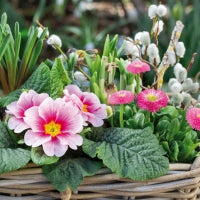 Ti Flair - Bouquet d Automne