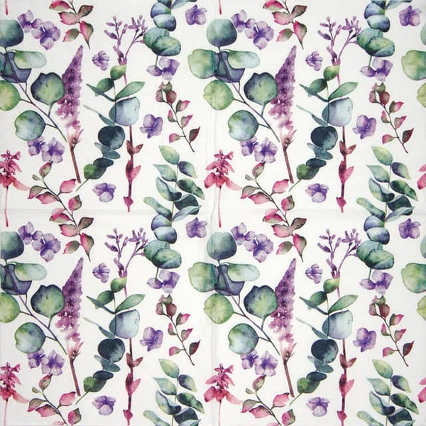 Ti Flair - Branches d Eucalyptus