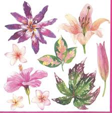 Ti Flair - Fluers Tropicales