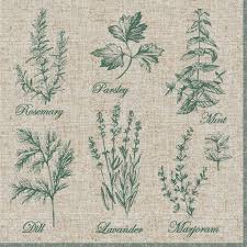 Ti Flair - Fragrant Herbs