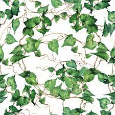 Ti Flair - Green Ivy Branches