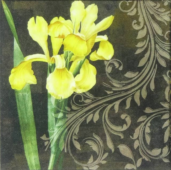 Ti Flair - Iris Amarillo