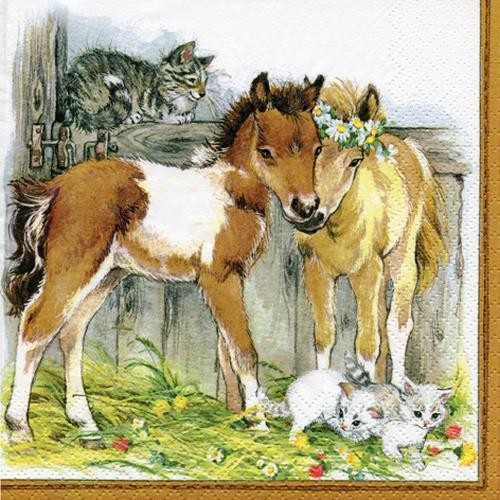 Ti Flair - Kitten Foals in Stable