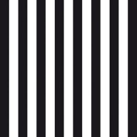 Ti Flair - Klassik Streifen black - white