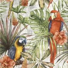 Ti Flair - Macaw