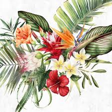 Ti Flair - Parfun de Paradis White