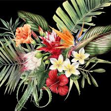 Ti Flair - Parfun de Paradis Black