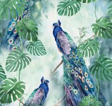 Ti Flair - Peacock Paradise