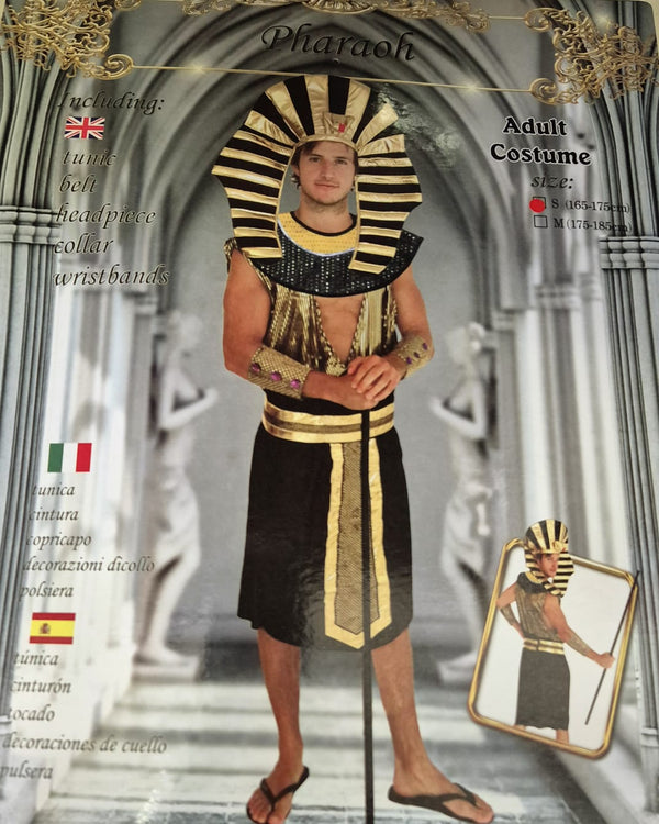 Pharaoh Egyptian Costume Adult or Teen Small