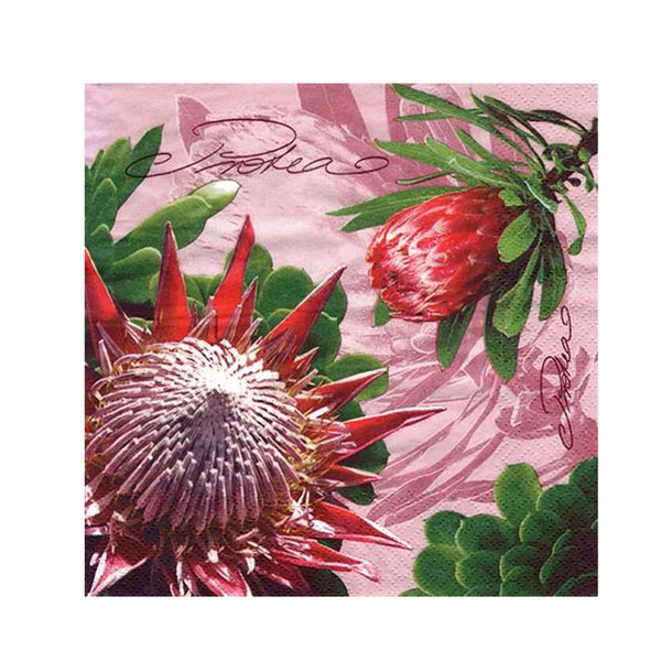Ti Flair - Protea