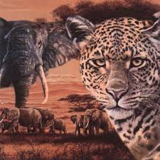 Ti Flair - Safari Collage