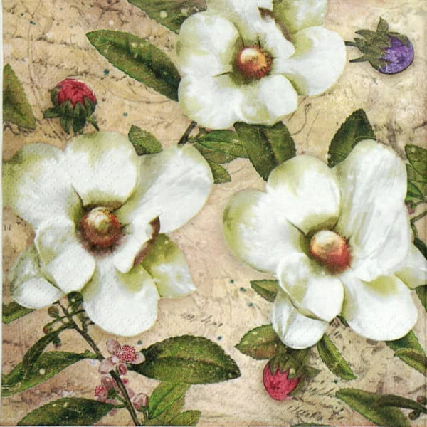Ti Flair - Trios Magnolias