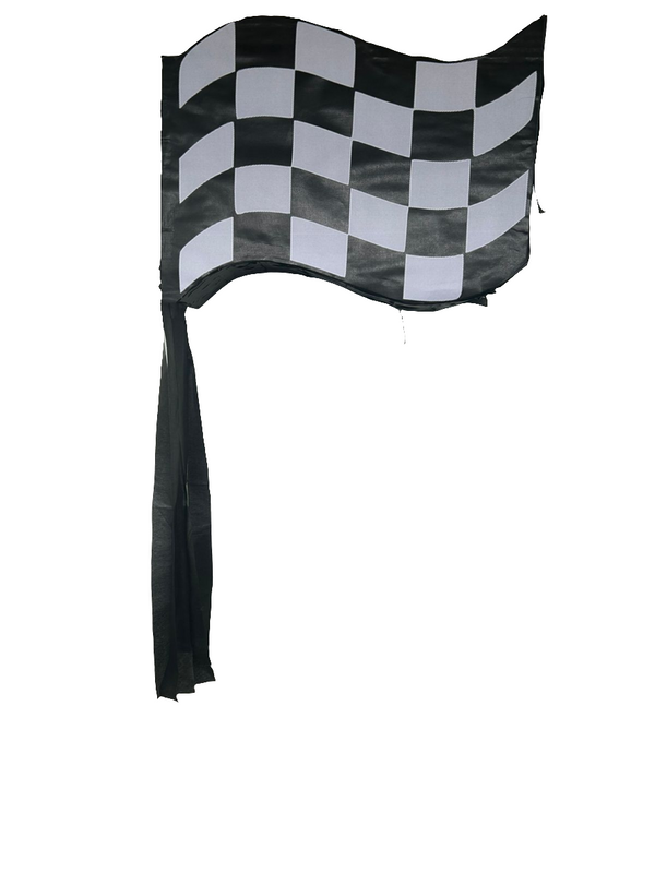Racing Flag Piñata
