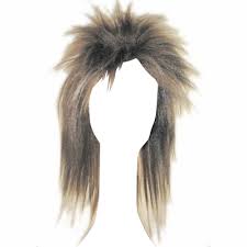 Tina Turner Wig